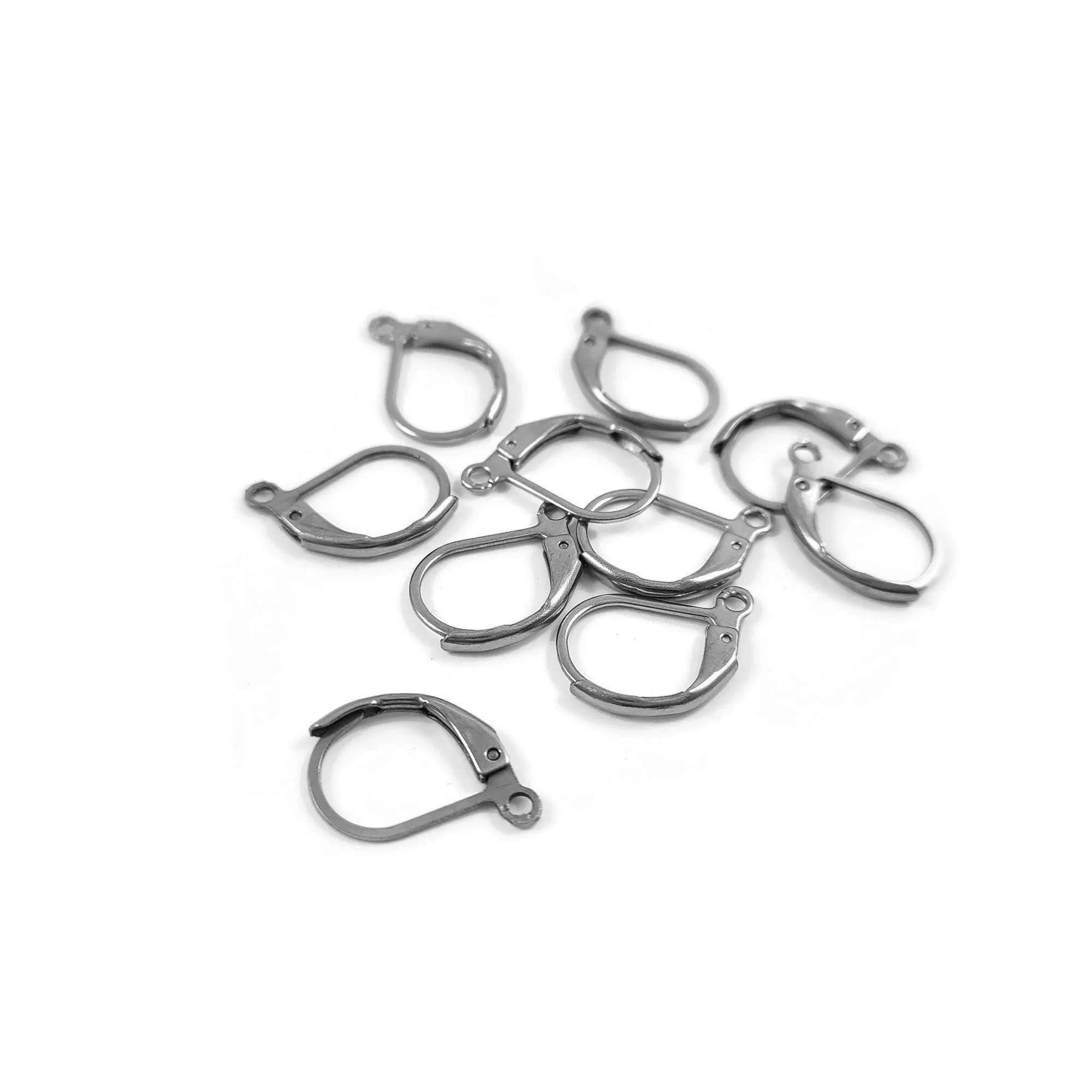 10 Surgical steel lever back hooks