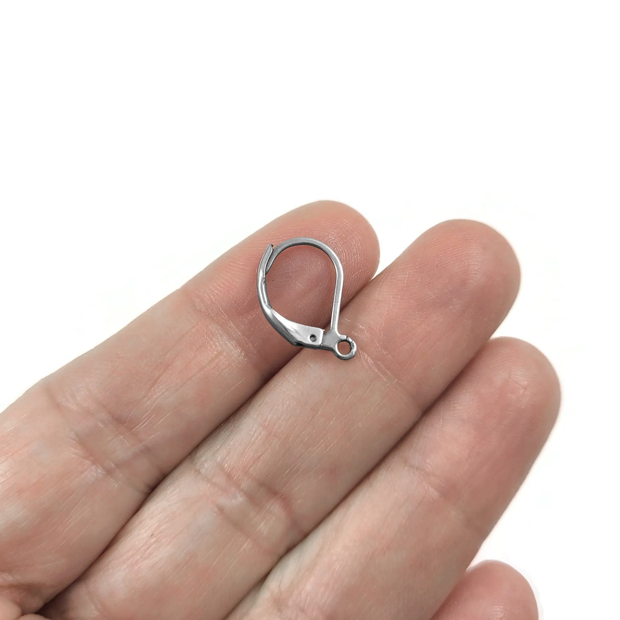 10 Surgical steel lever back hooks