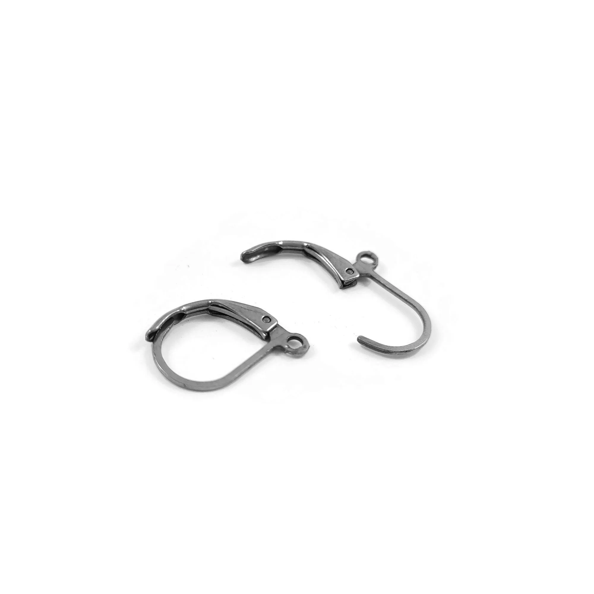 10 Surgical steel lever back hooks