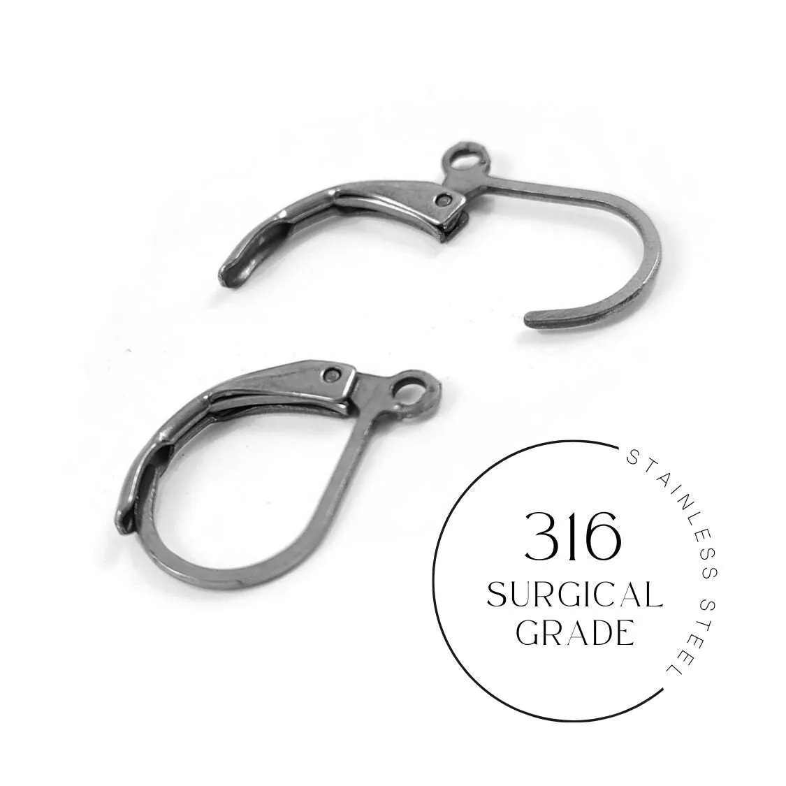 10 Surgical steel lever back hooks