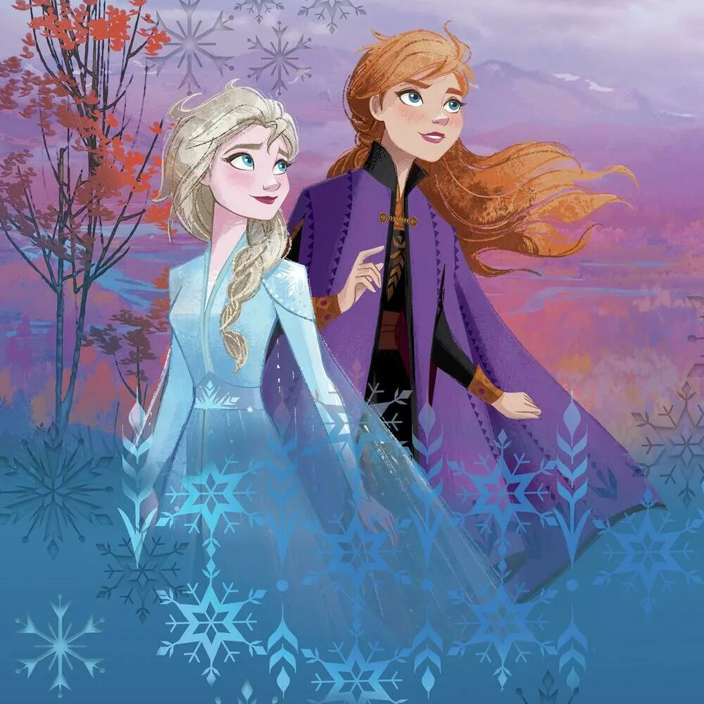 Disney Frozen II Destiny Awaits Tapestry